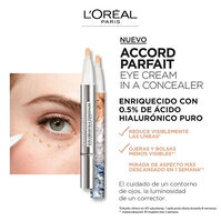 Accord Parfait Eye Cream in a Concealer   5
